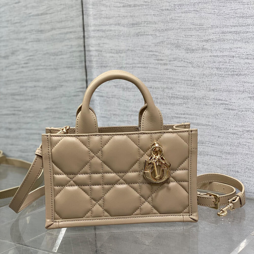 Mini Dior Book Tote