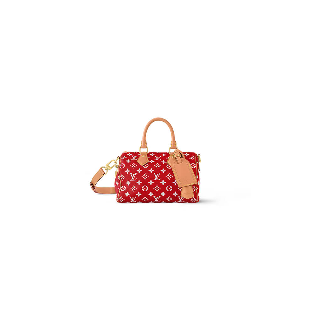 LV Speedy P9 Bandouliere 25